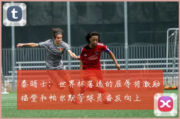 泰晤士：世界杯落选的屈辱将激励福登和帕尔默等球员奋发向上
